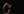 Section background